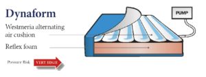 dynaform-pressure-management-cushion